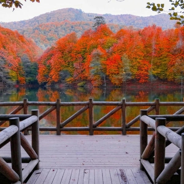 Bolu Yedigöller Turu Günübirlik